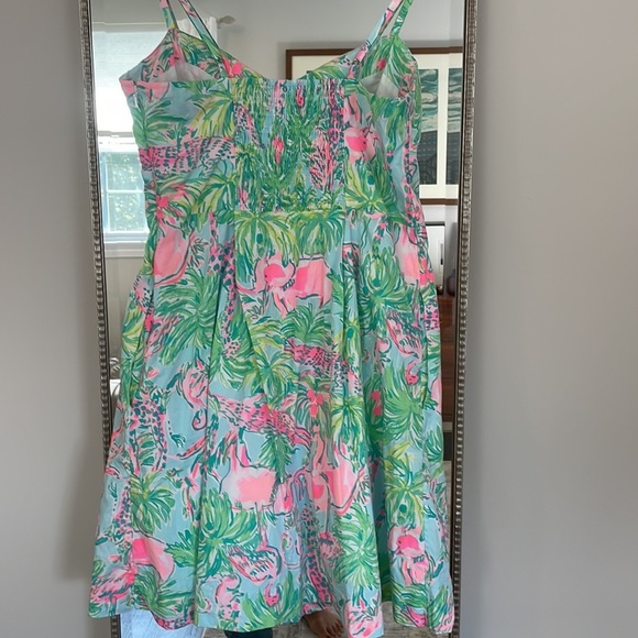 Lilly Pulitzer Pink and Green Easton Dress - Picture 7 of 15